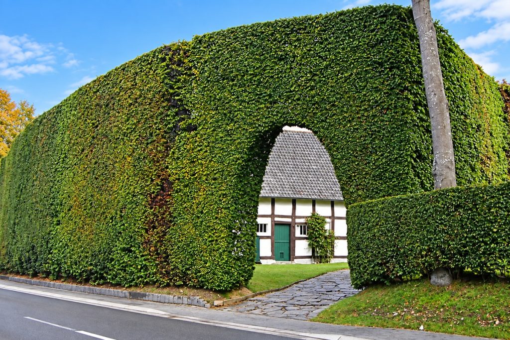 Monschauer Heckenland