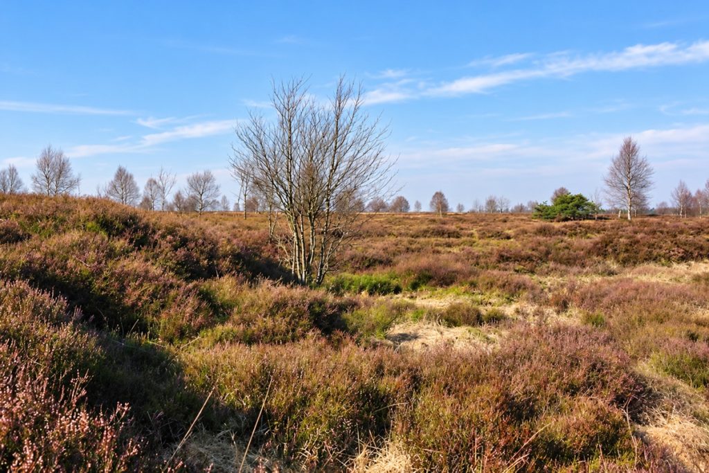 Hohes Venn
